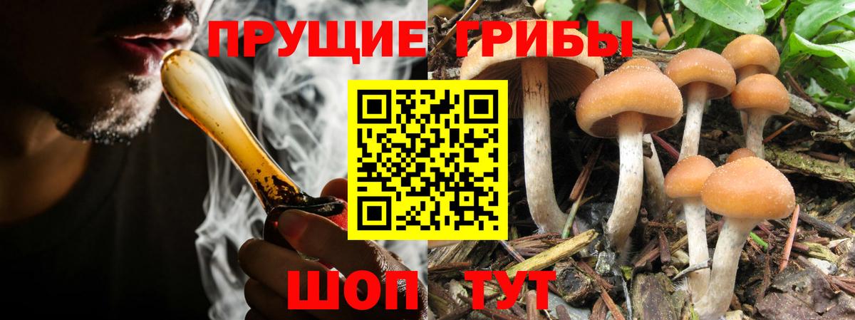 Десногорск  Галлюциногенные грибы Magic Shrooms  Вход с VPN 